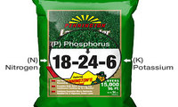 Insecticides